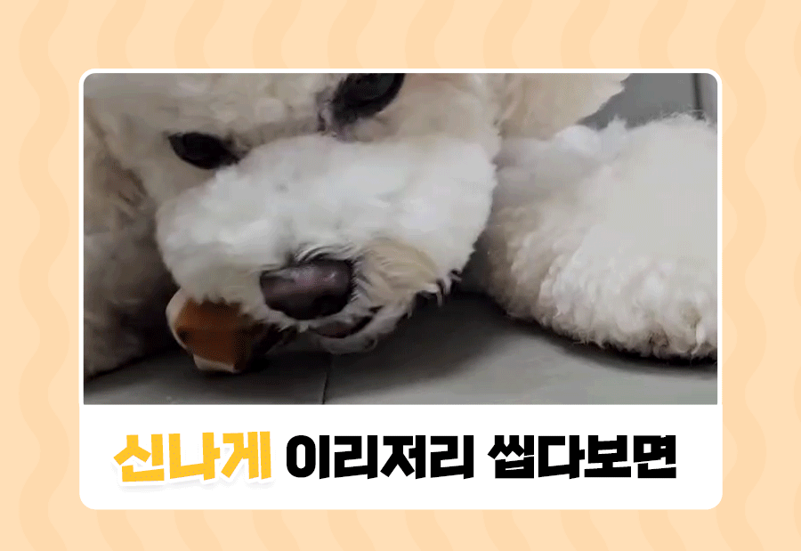 상품정보