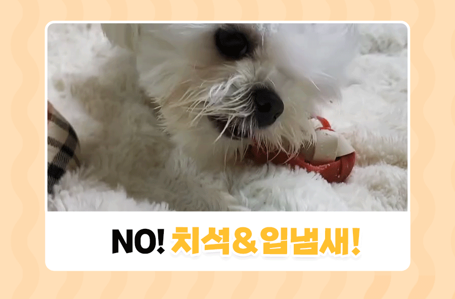 상품정보