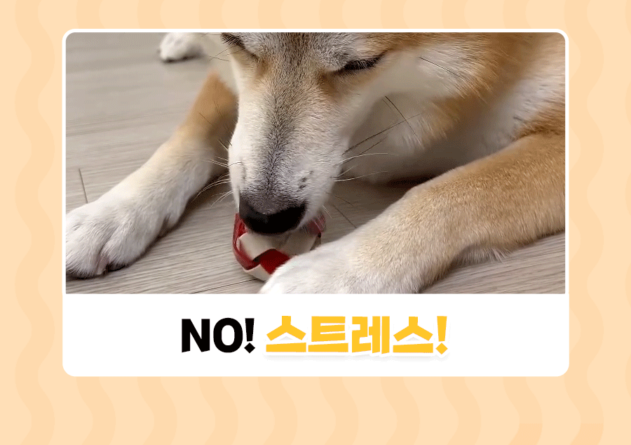 상품정보