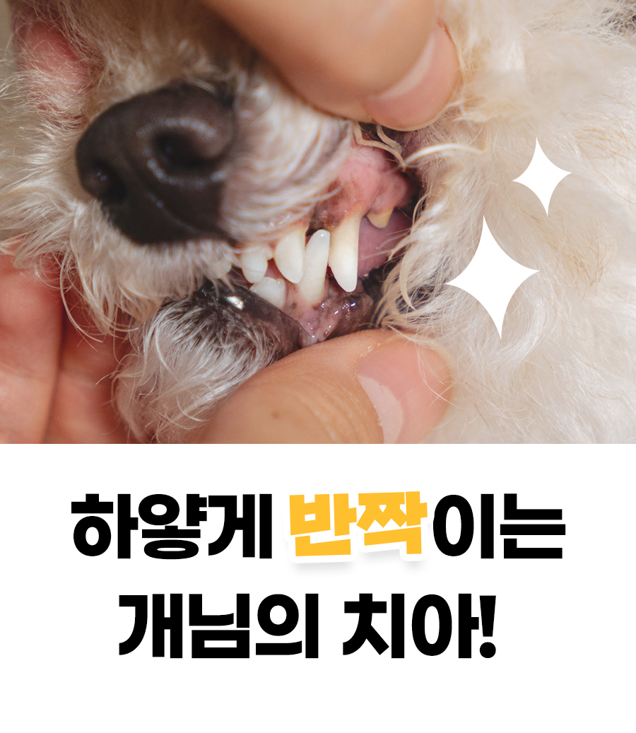 상품정보