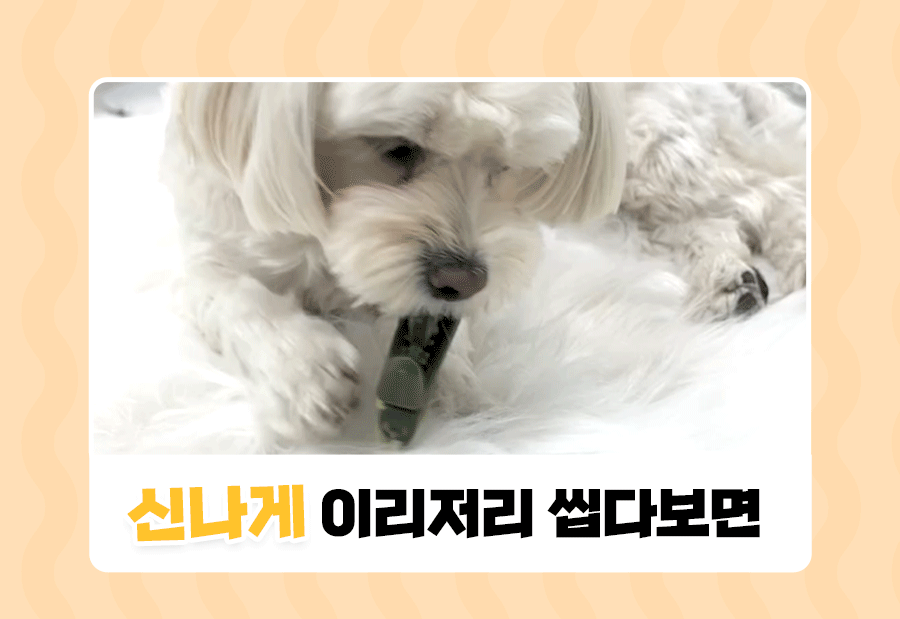 상품정보