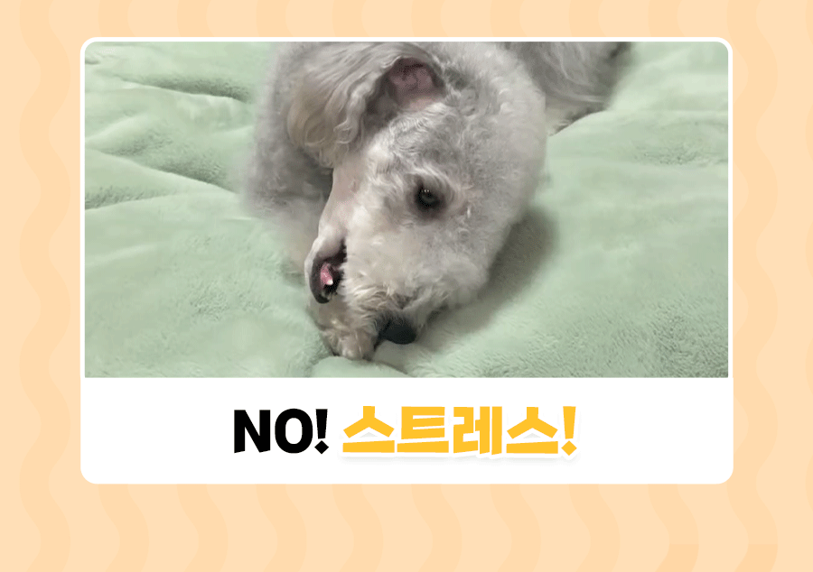 상품정보