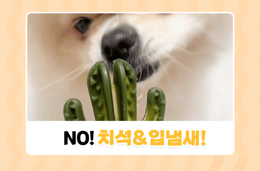 상품정보