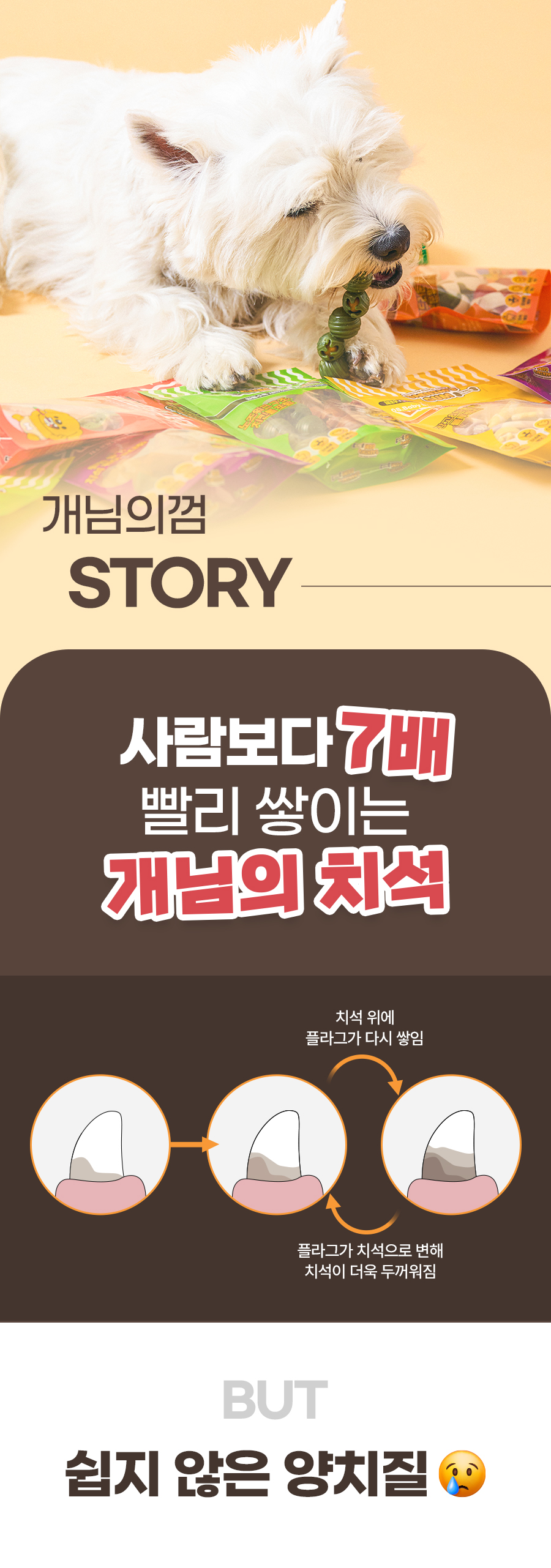 상품정보