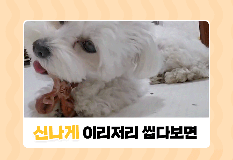 상품정보