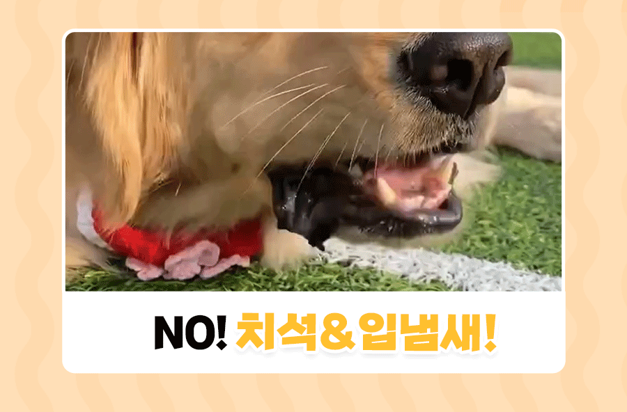상품정보