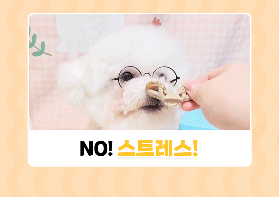 상품정보