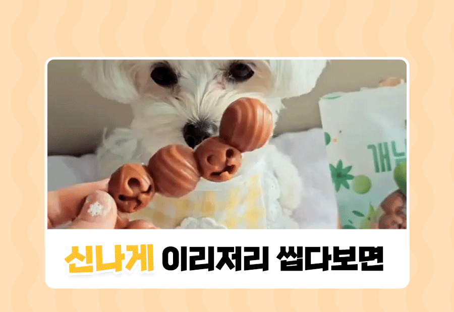 상품정보
