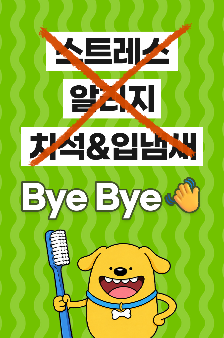 상품정보