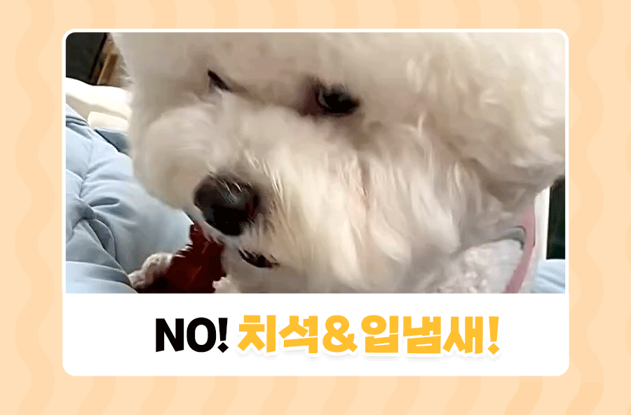 상품정보