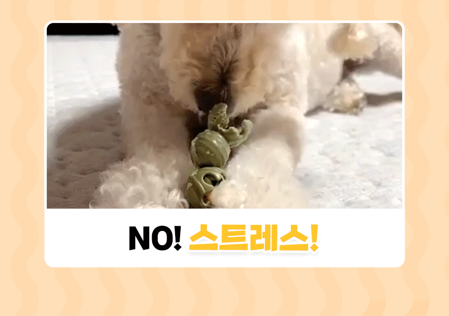 상품정보