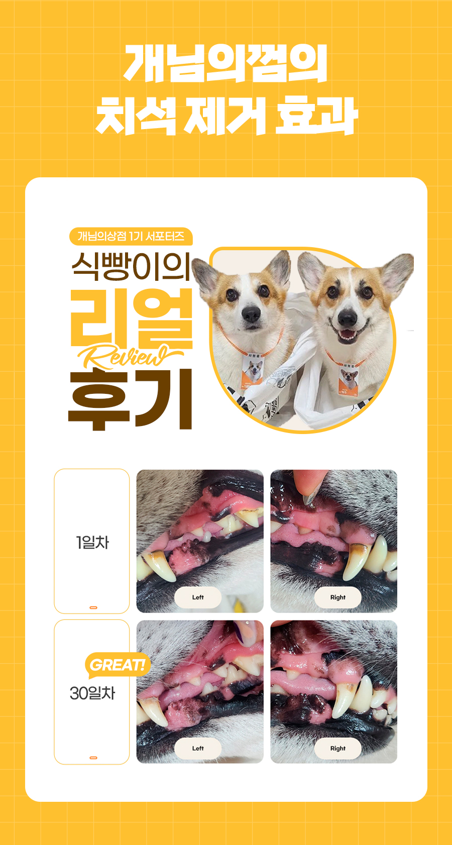 상품정보