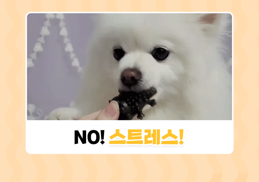 상품정보