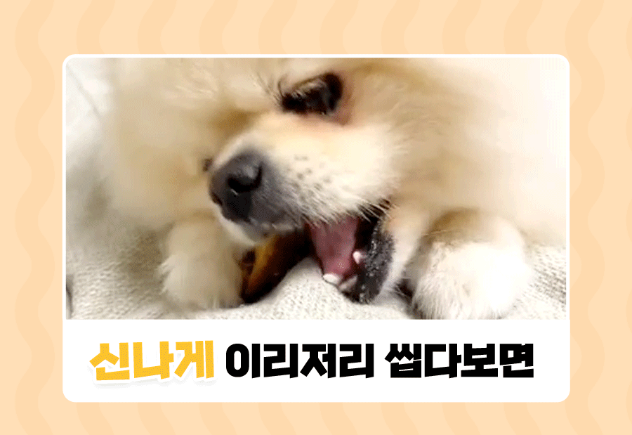 상품정보