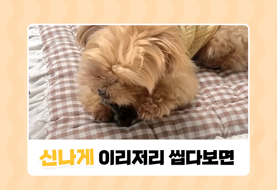 상품정보