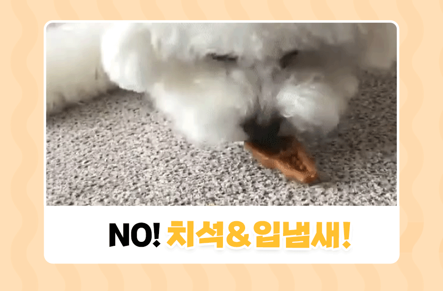 상품정보