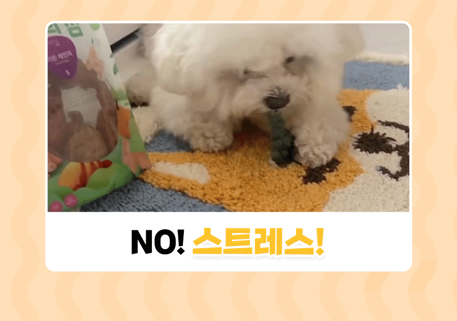 상품정보