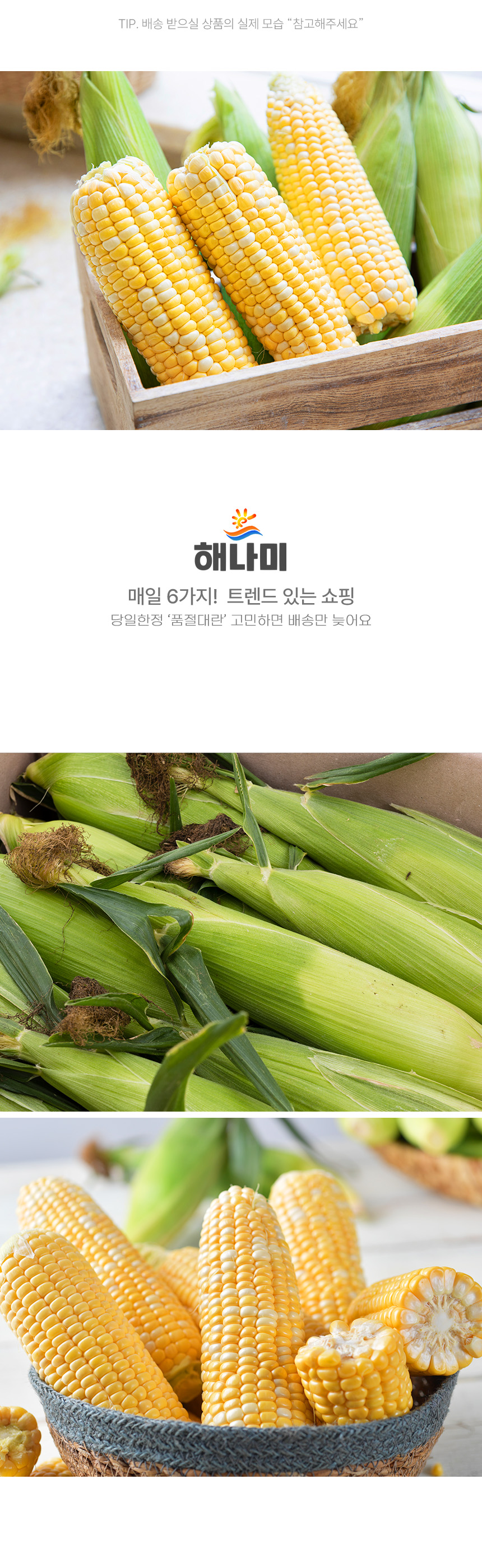 상품정보