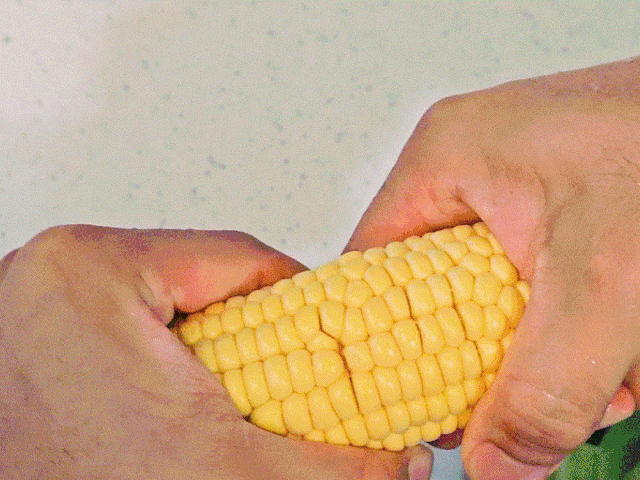 상품정보