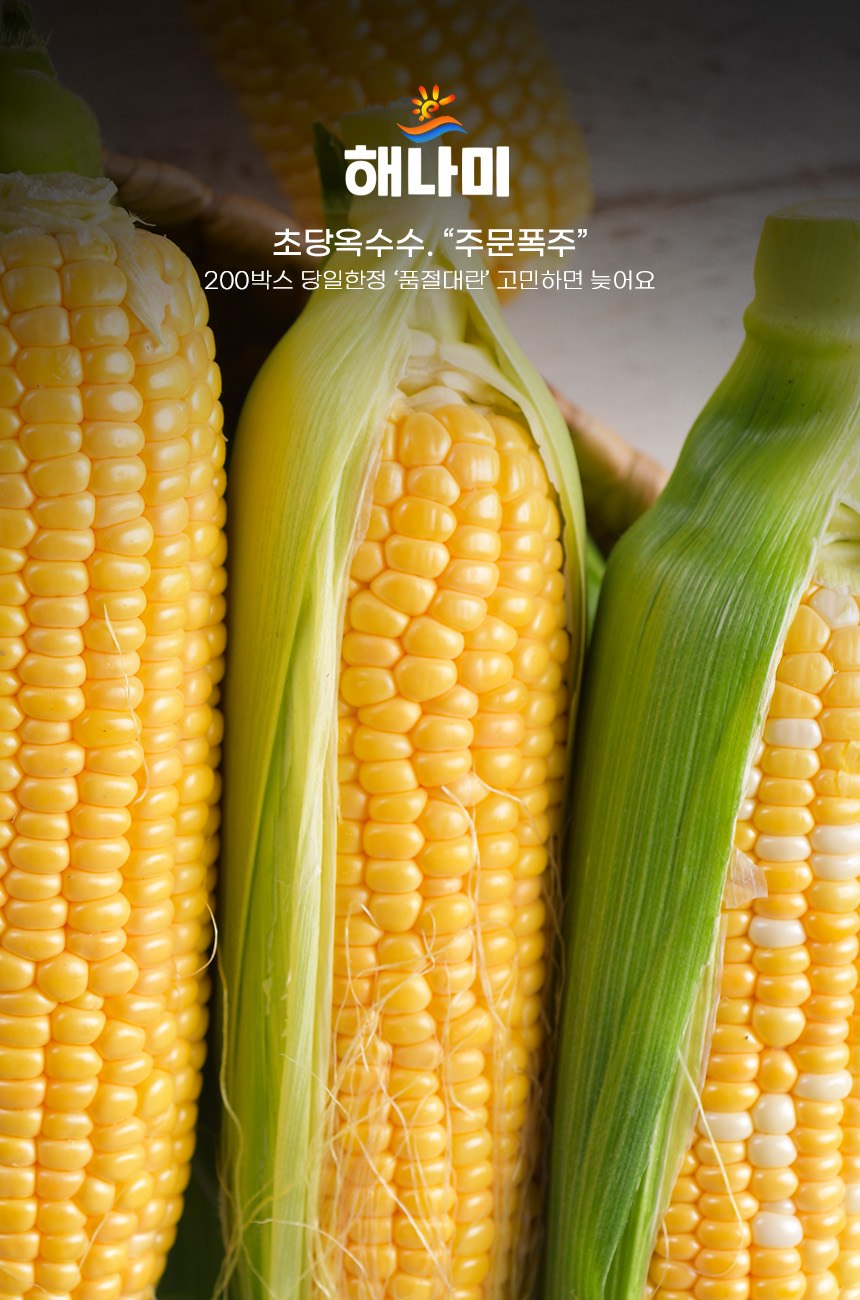 상품정보