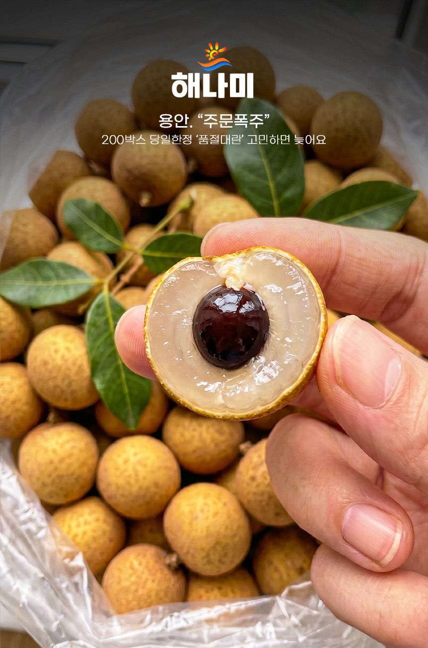 상품정보