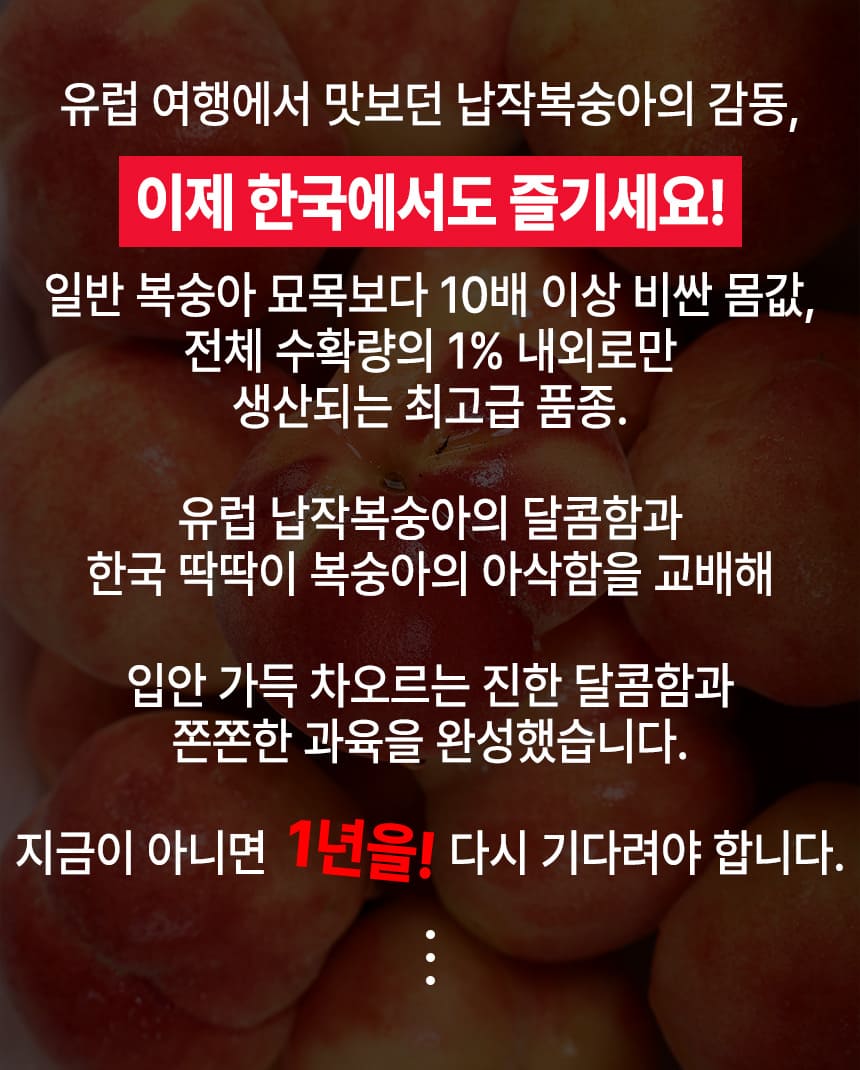 상품정보