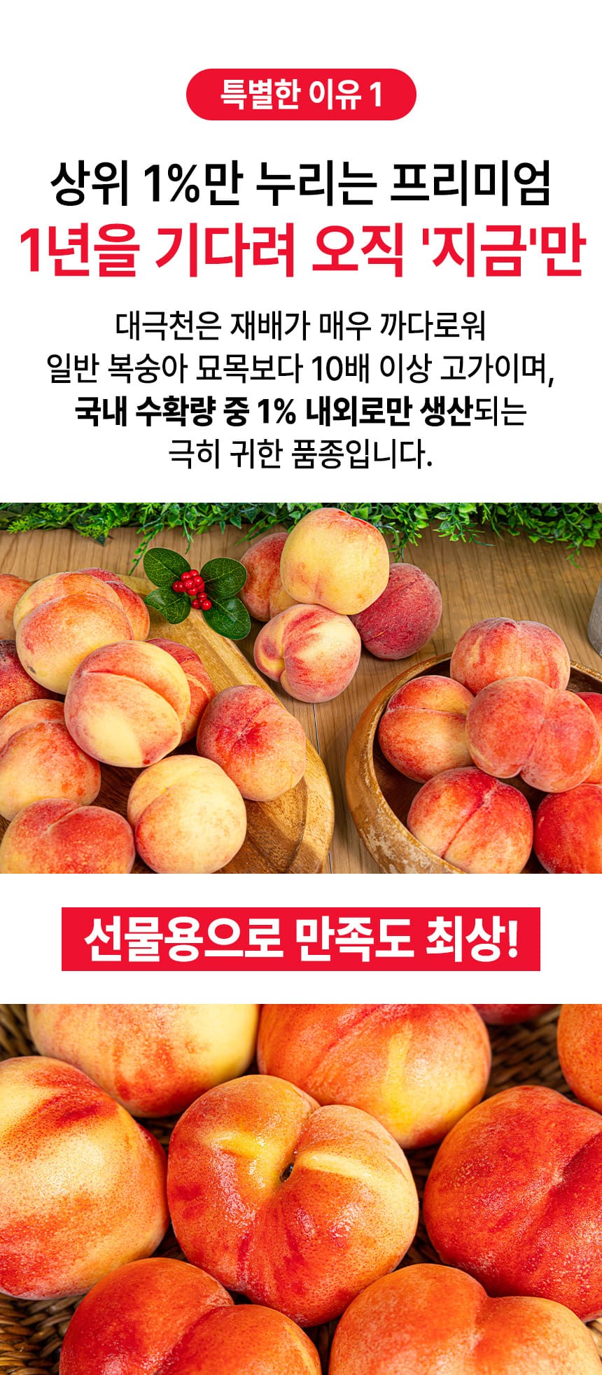 상품정보