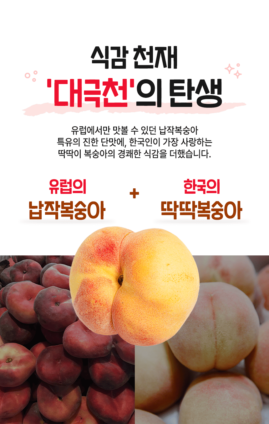 상품정보