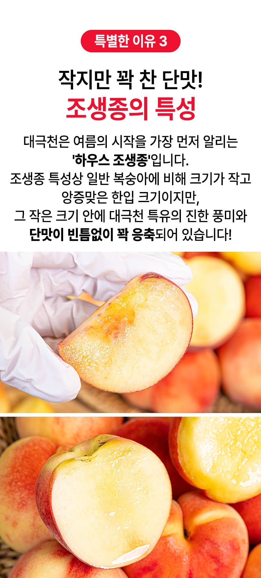 상품정보