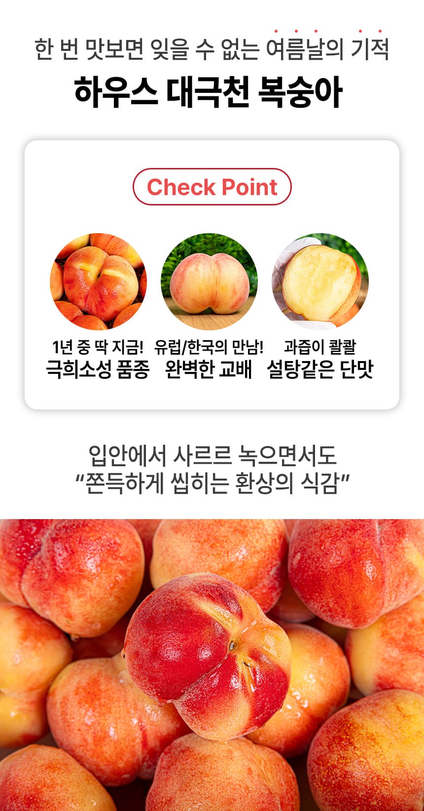 상품정보