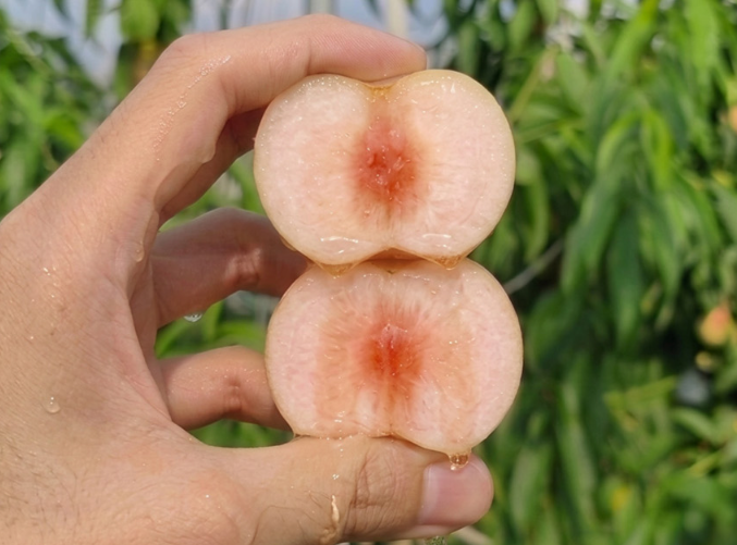 상품정보
