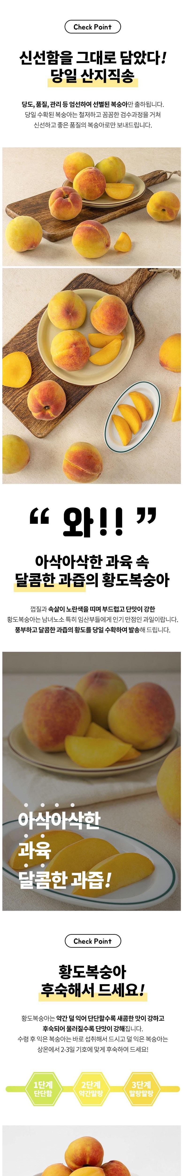 상품정보