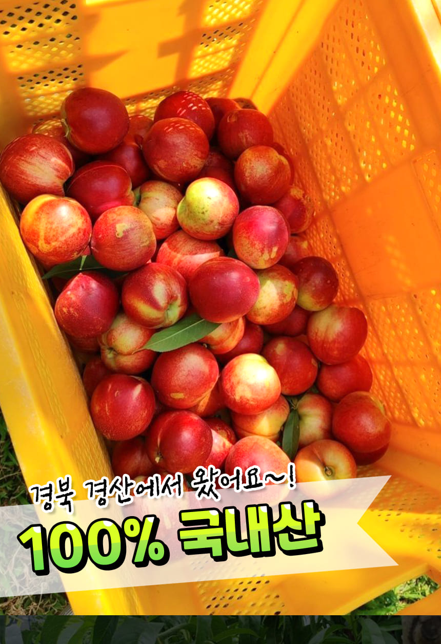 상품정보