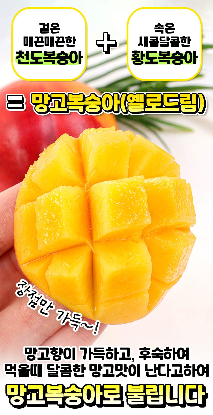 상품정보