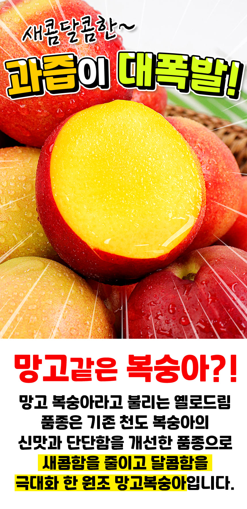 상품정보