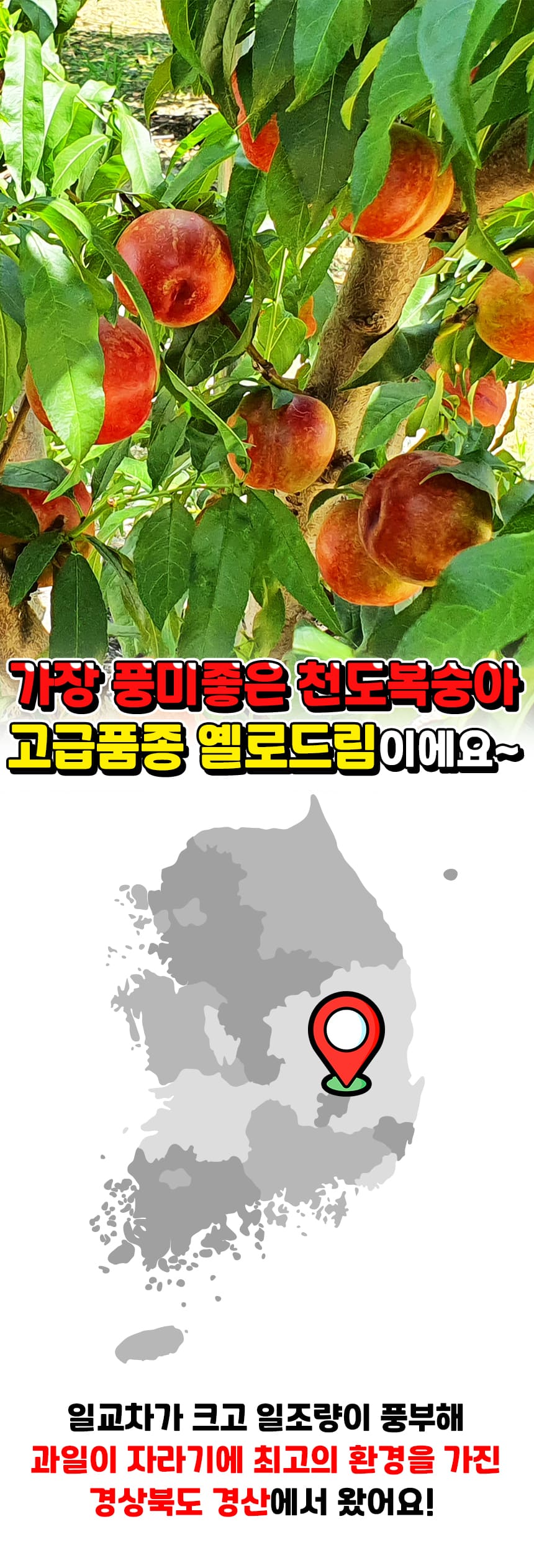 상품정보