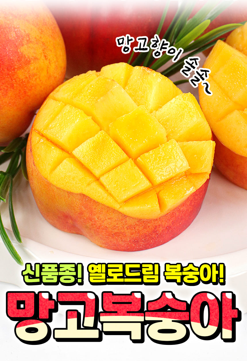 상품정보