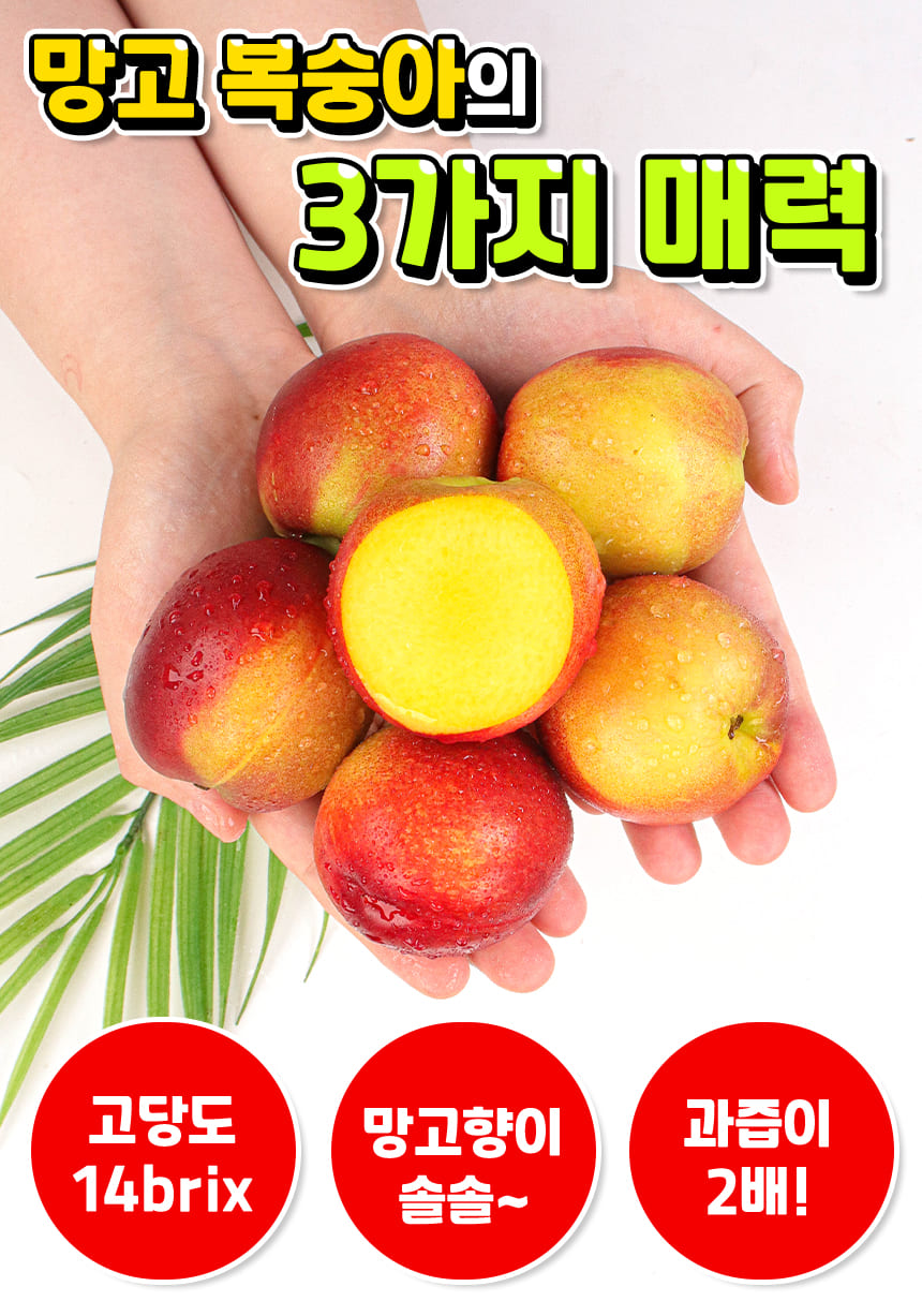 상품정보