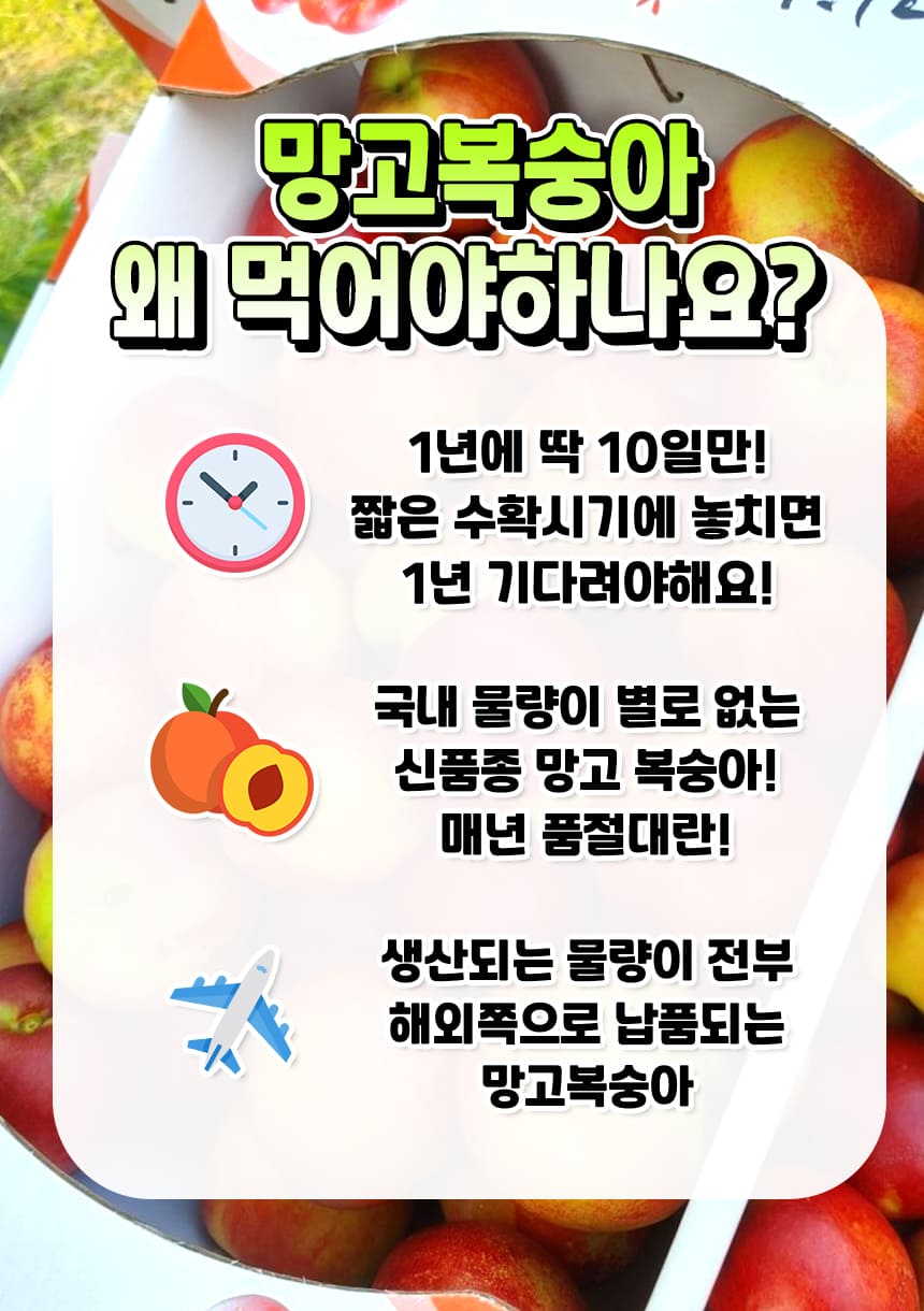 상품정보