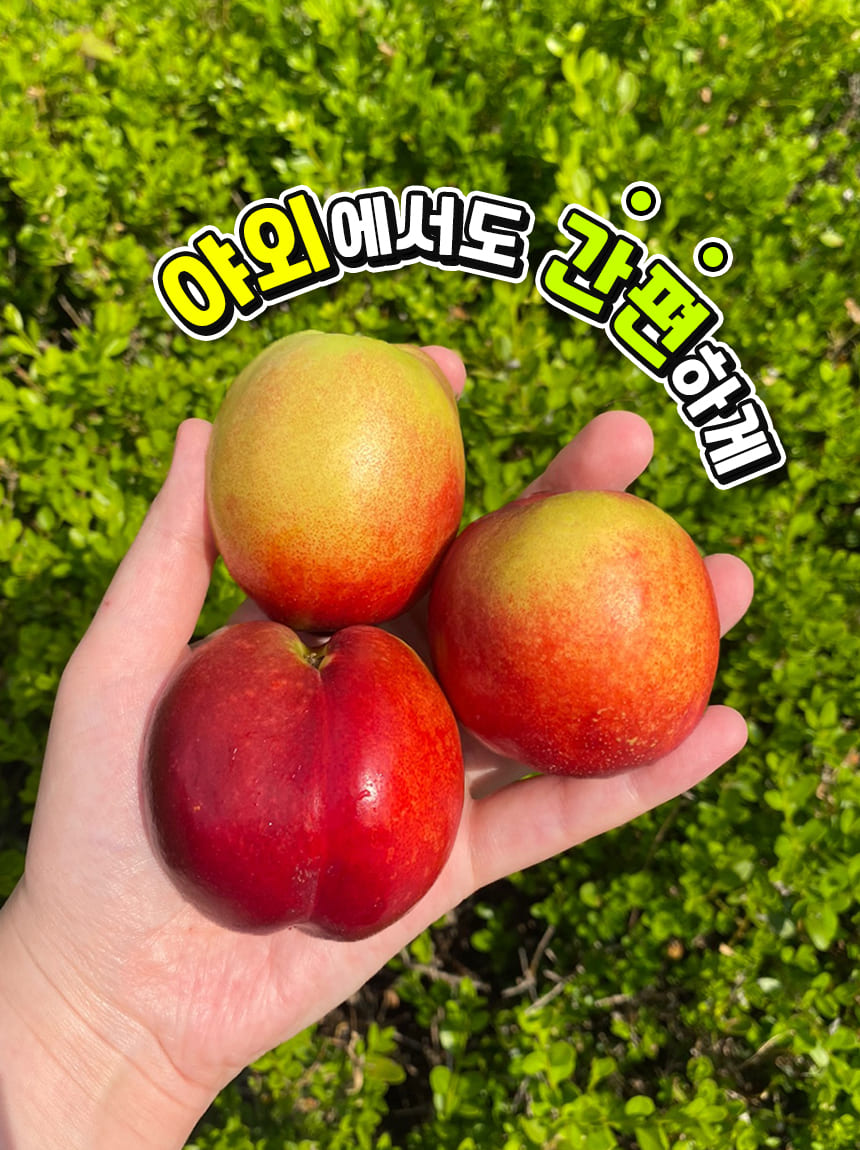 상품정보
