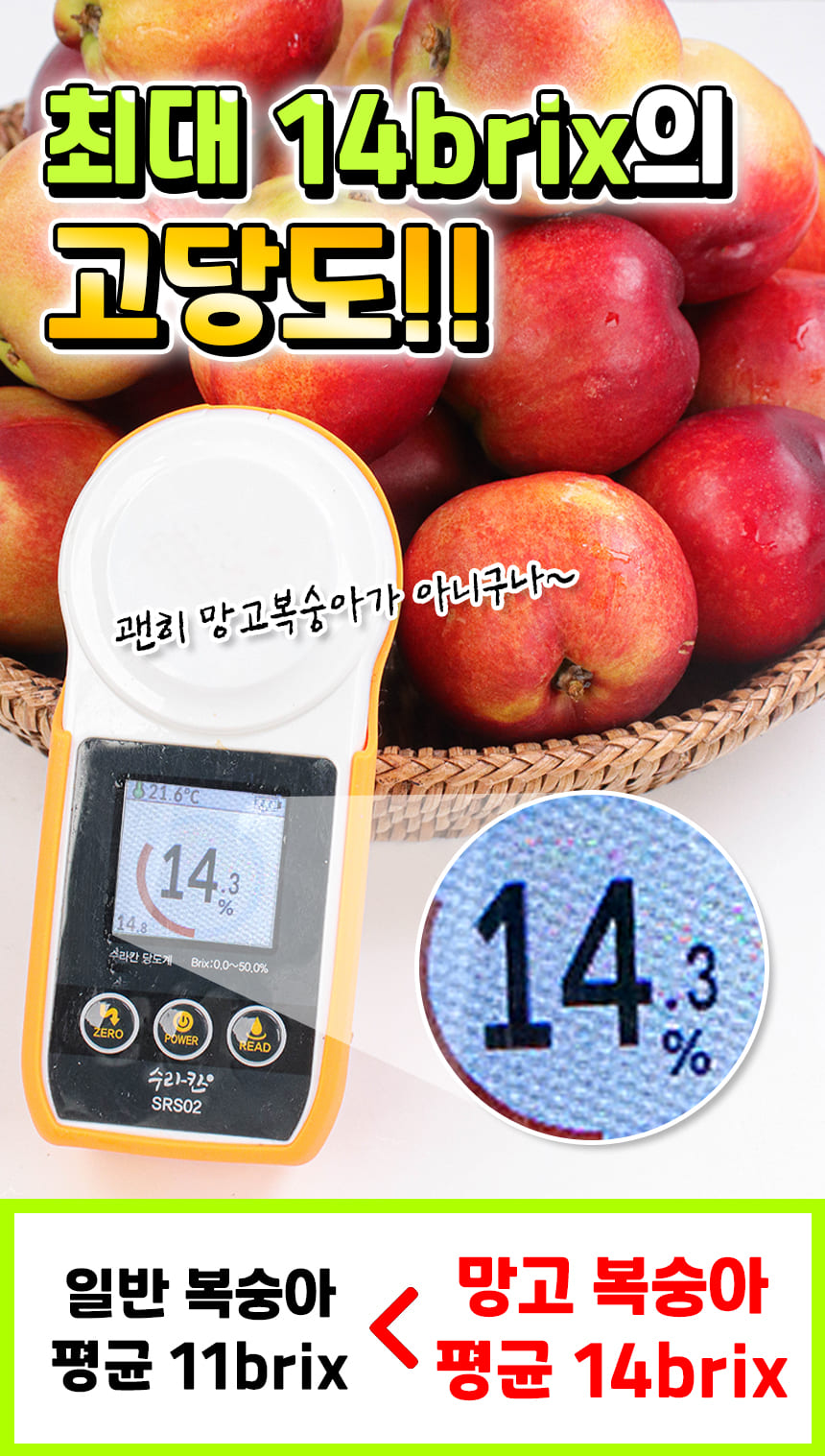 상품정보