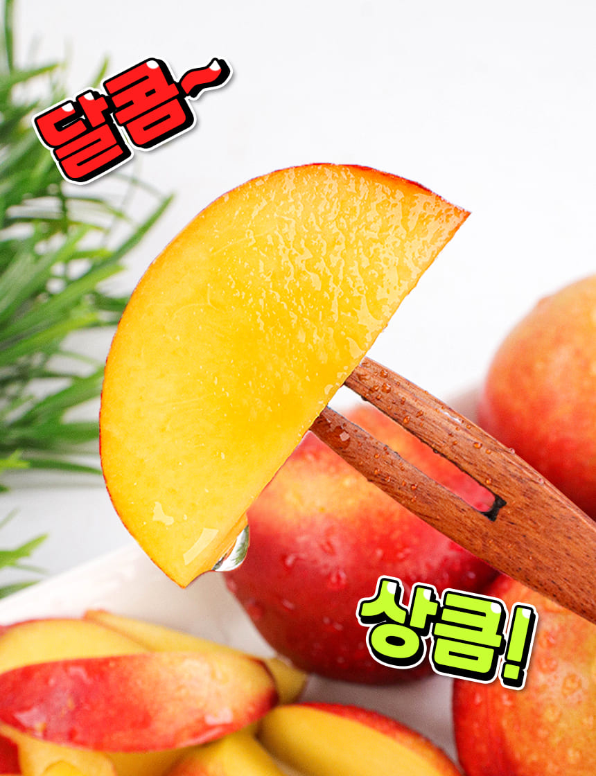 상품정보
