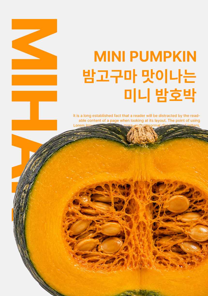상품정보