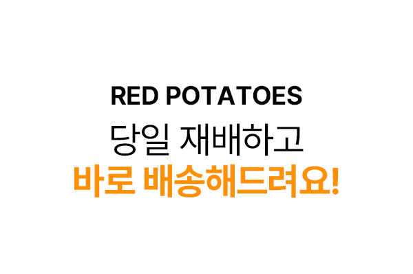 상품정보