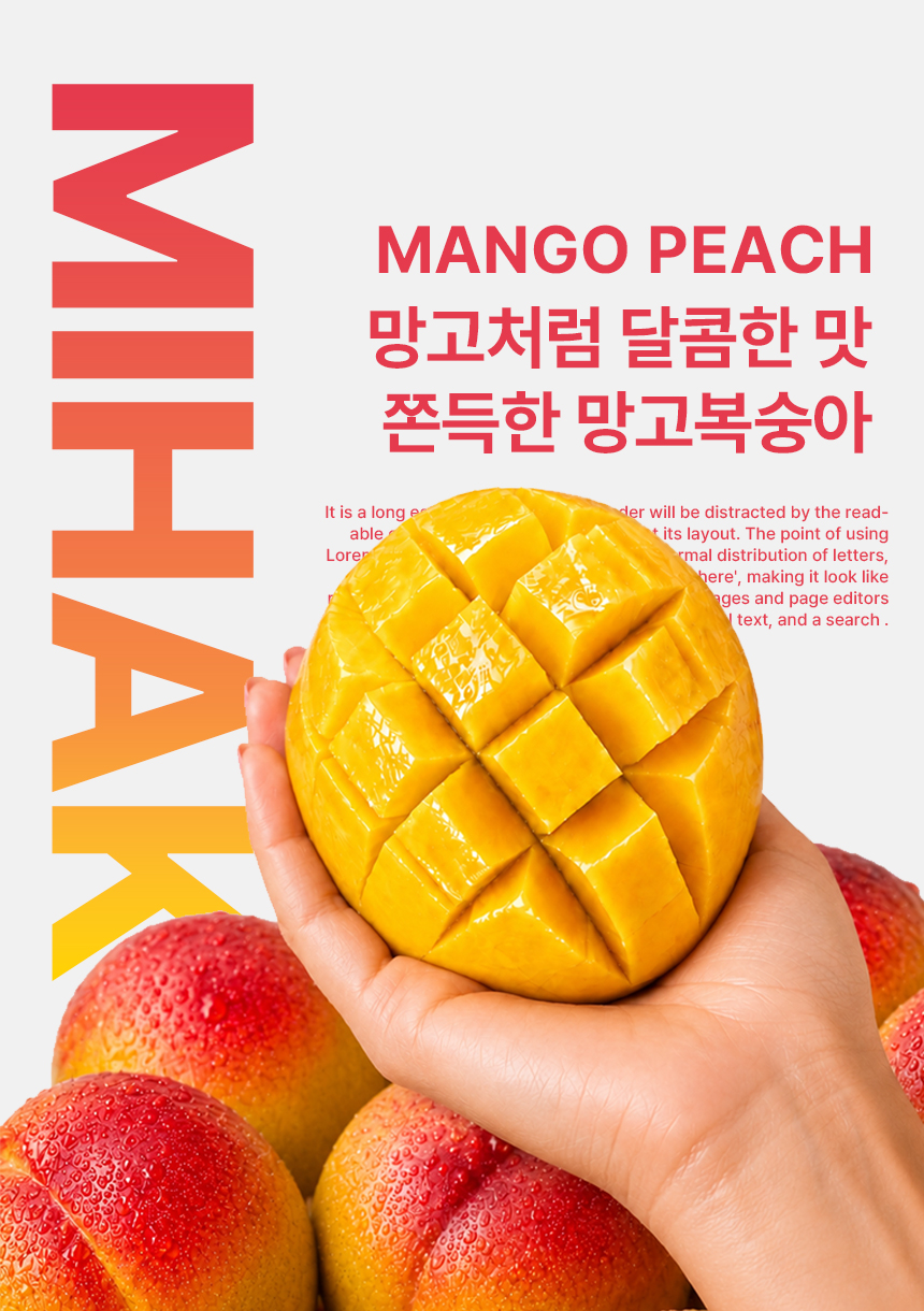상품정보