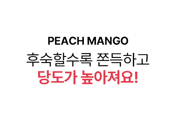 상품정보