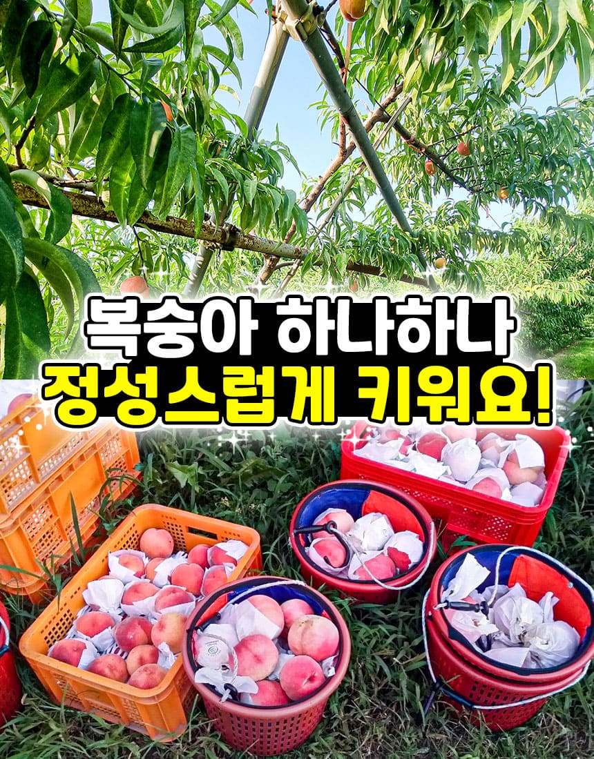 상품정보