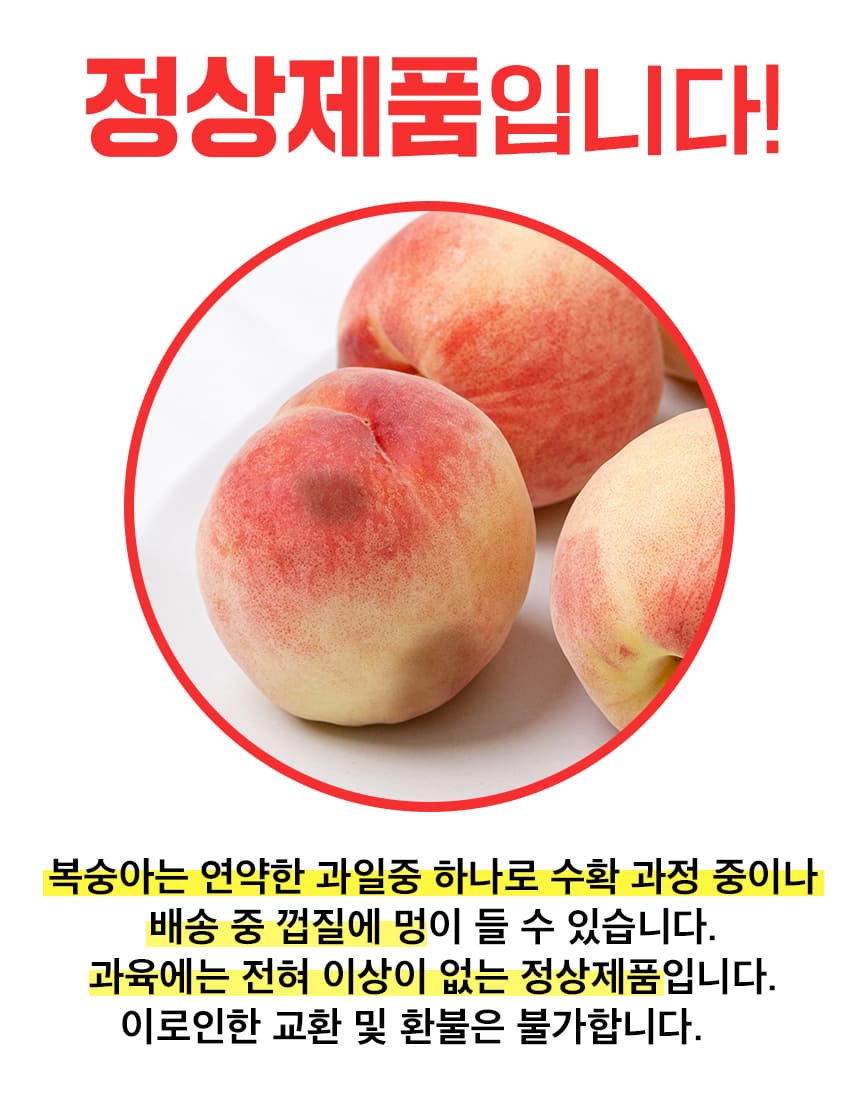 상품정보