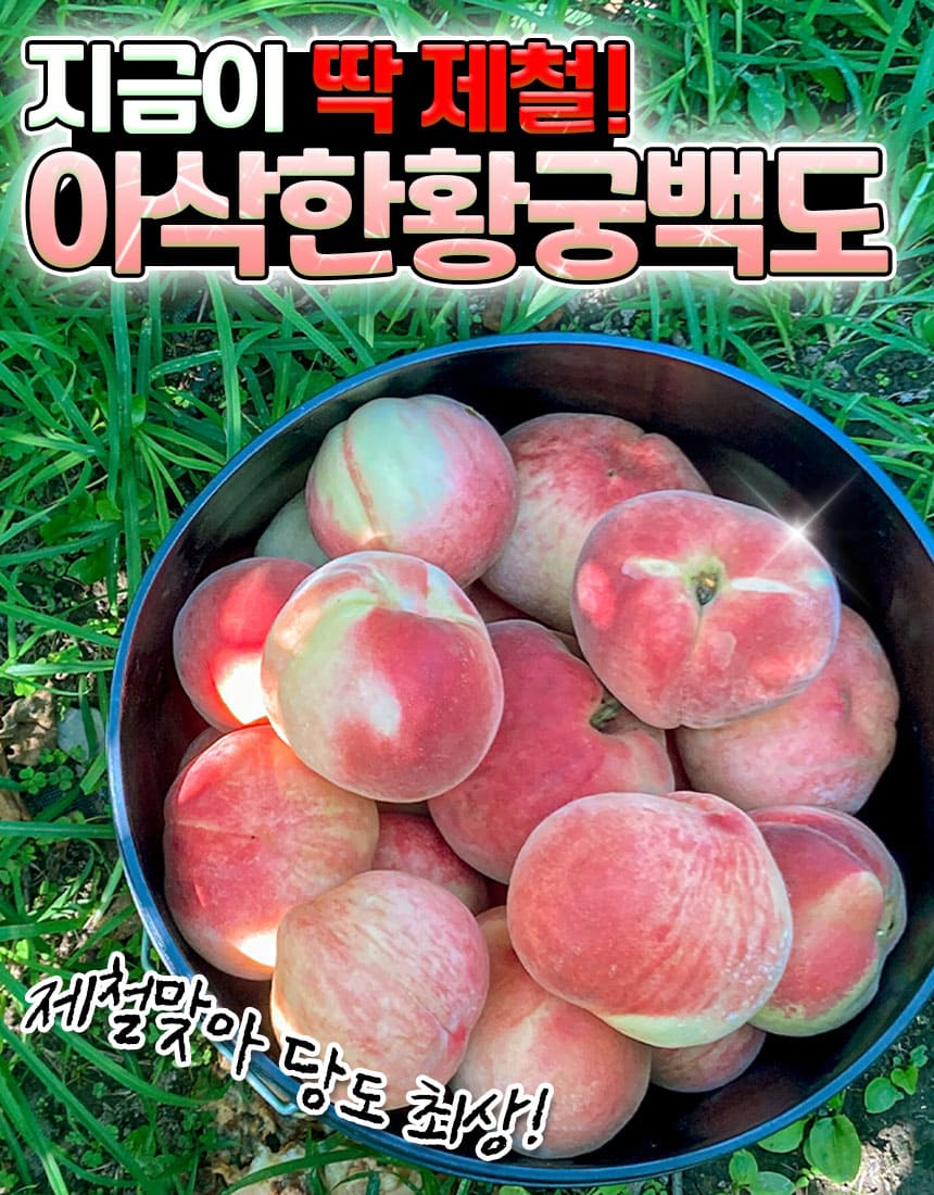 상품정보