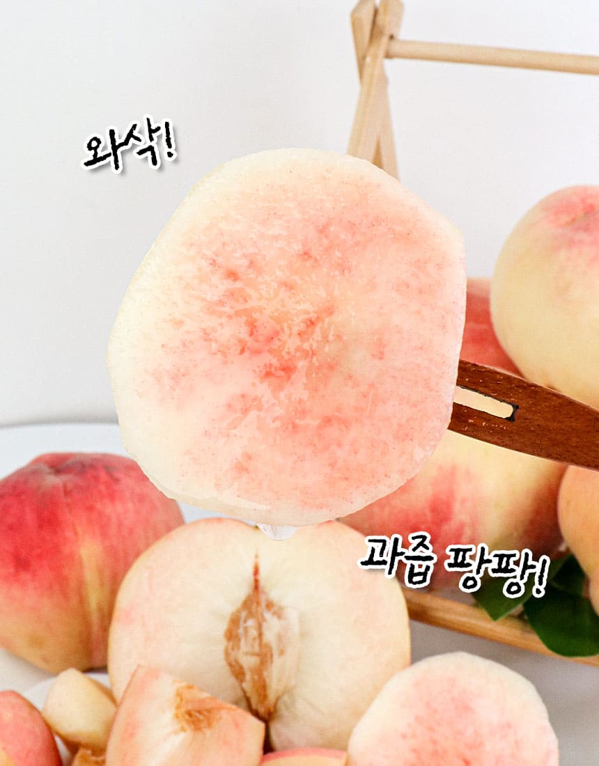 상품정보